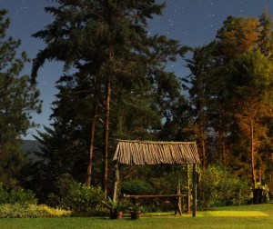 28 Garden at Moonlight - Patio en Luz de Luna